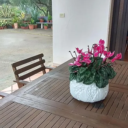 Fenicepugliese Сasa de vacaciones *