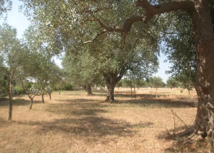 Fenicepugliese