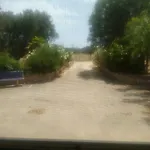 Fenicepugliese San Vito dei Normanni