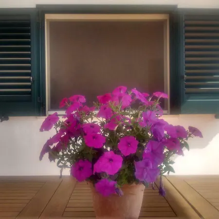 Holiday home Fenicepugliese *