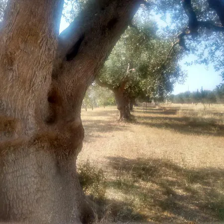 Fenicepugliese Holiday home *